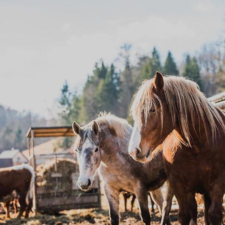 Farm Stay Zurej Šentjur エクステリア 写真