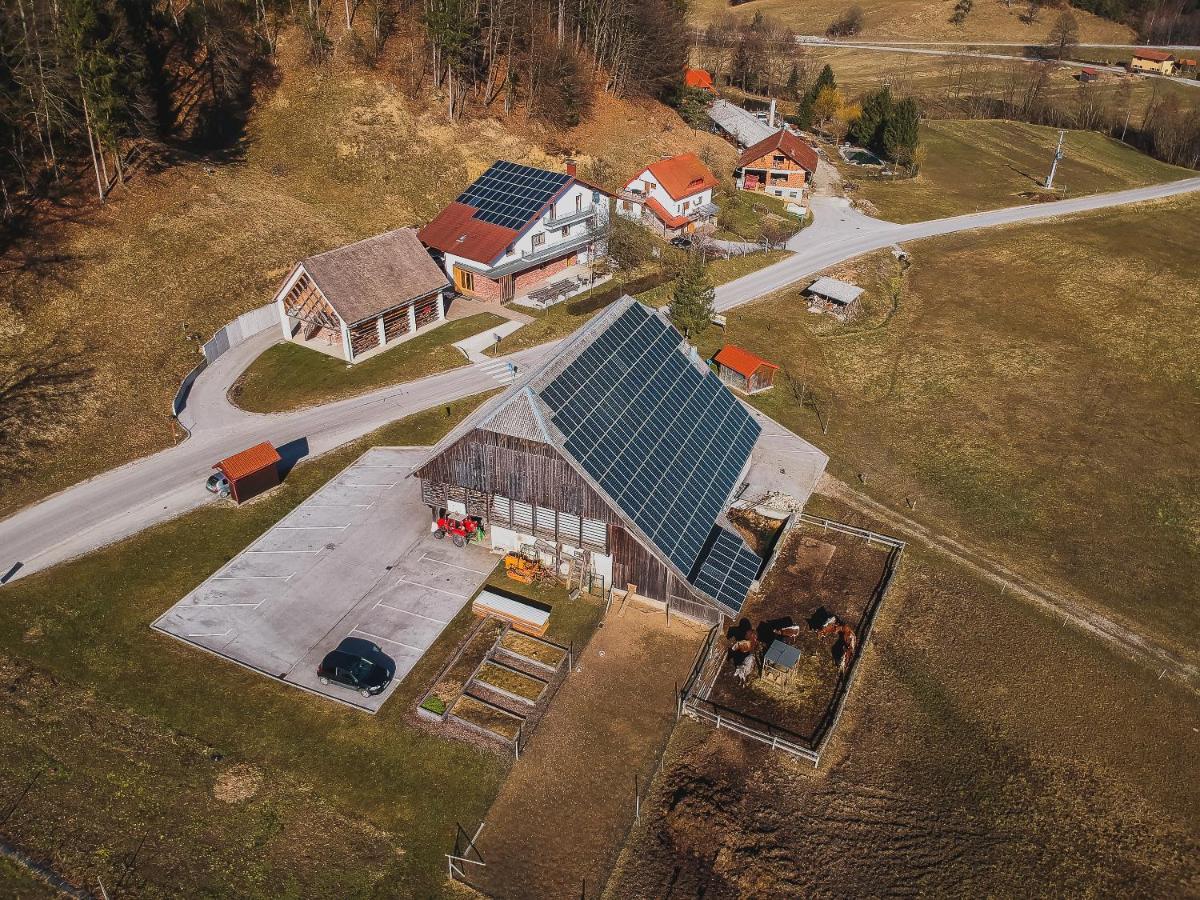 Farm Stay Zurej Šentjur エクステリア 写真